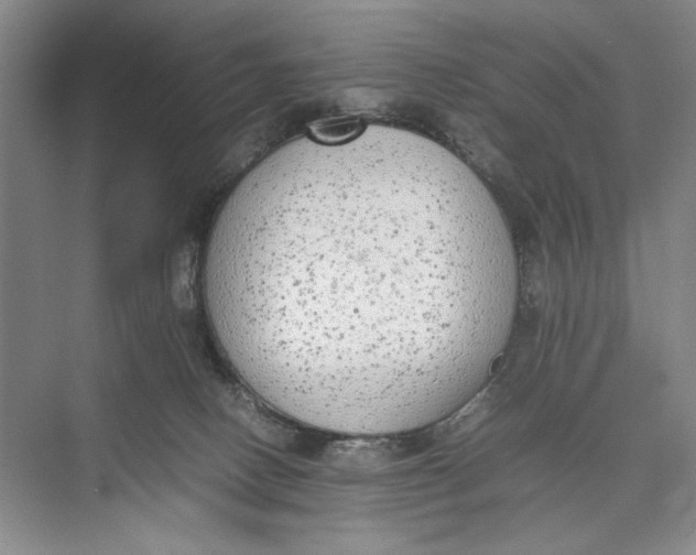 X0000074970082200609221834