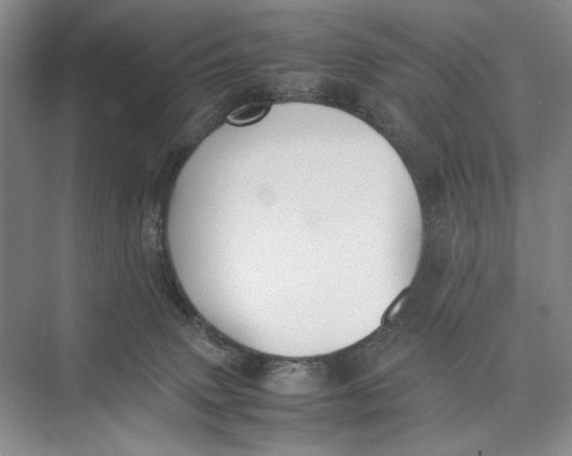 X0000074970083200609221834