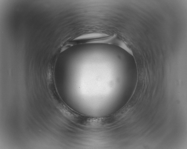 X0000074970084200609221834