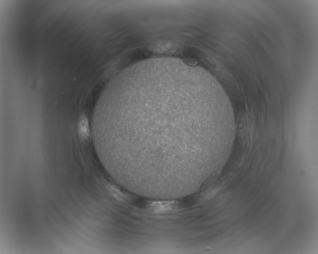 X0000074970089200609221834