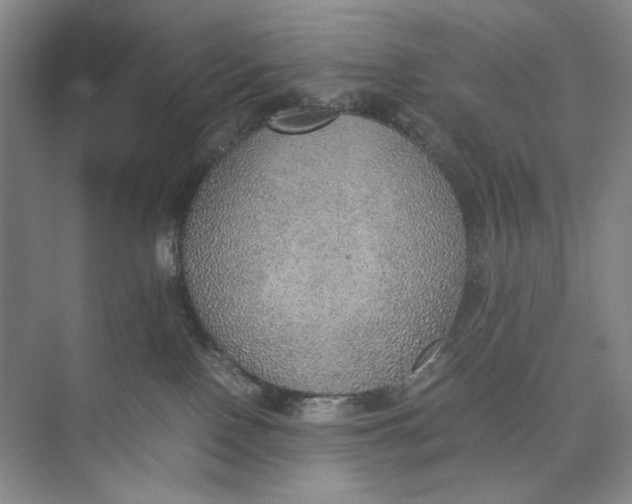 X0000074970090200609221834