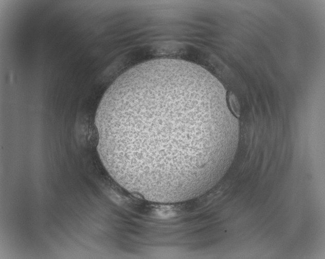 X0000074970091200609221834