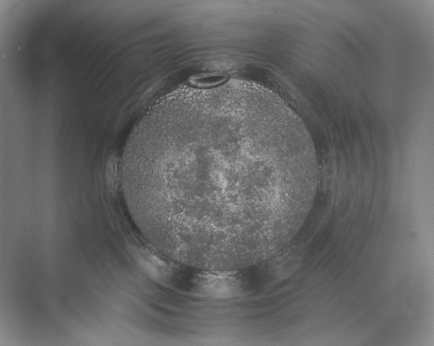 X0000074970093200609221834