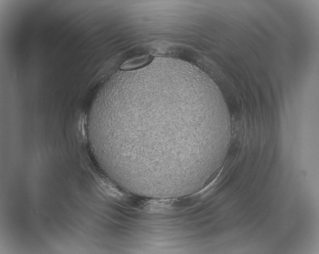 X0000074970094200609221834