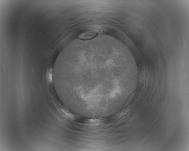 X0000074970095200609221834