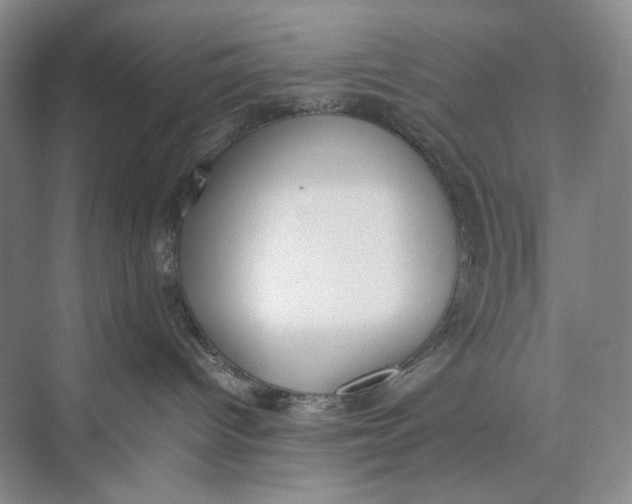 X0000074970096200609221834