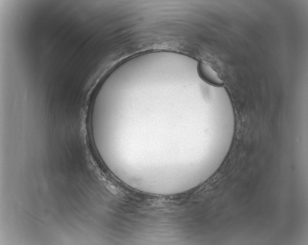 X0000074970098200609221833