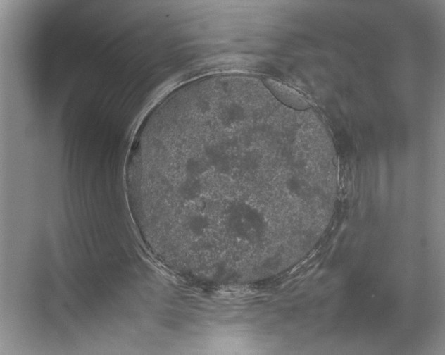 X0000074970099200609221833