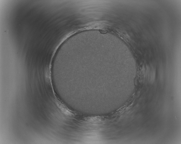 X0000074970100200609221833