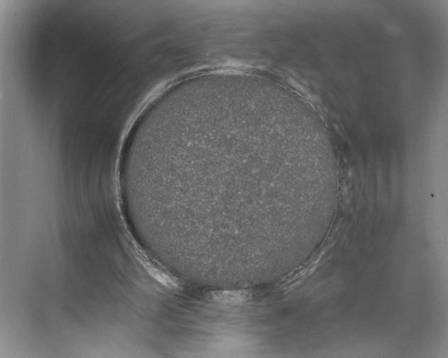 X0000074970102200609221833