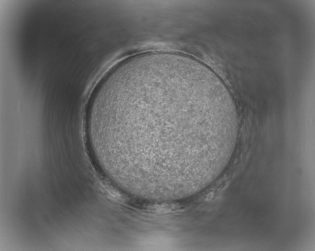 X0000074970103200609221833