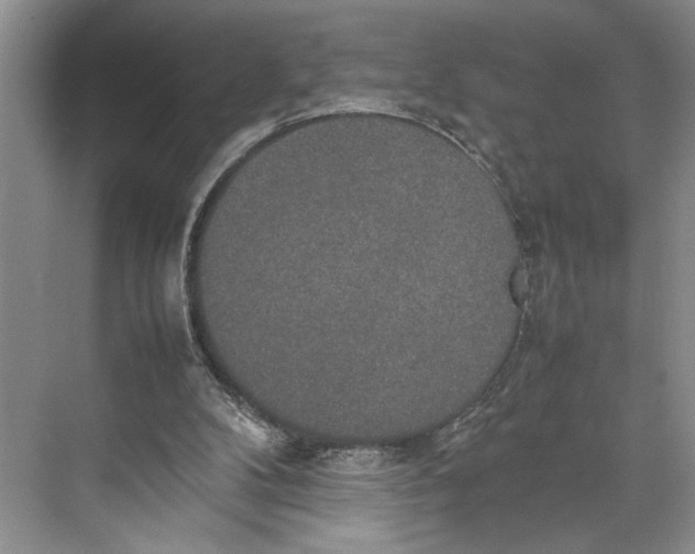 X0000074970104200609221833