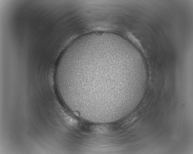 X0000074970106200609221833