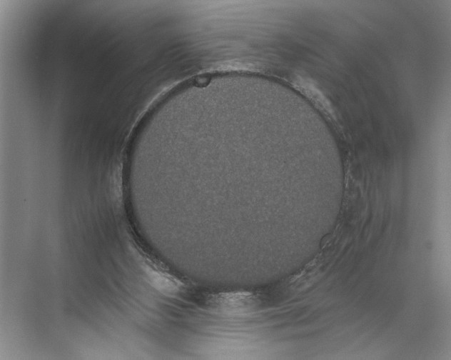 X0000074970108200609221833