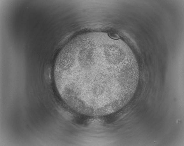 X0000074970115200609221833