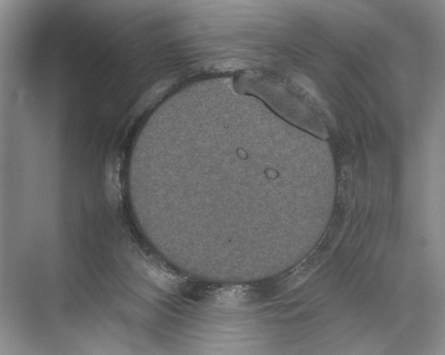 X0000074970116200609221833