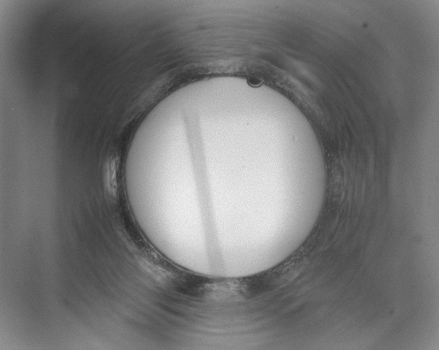 X0000074970118200609221833