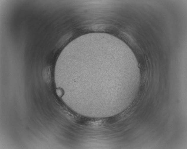 X0000074970120200609221833