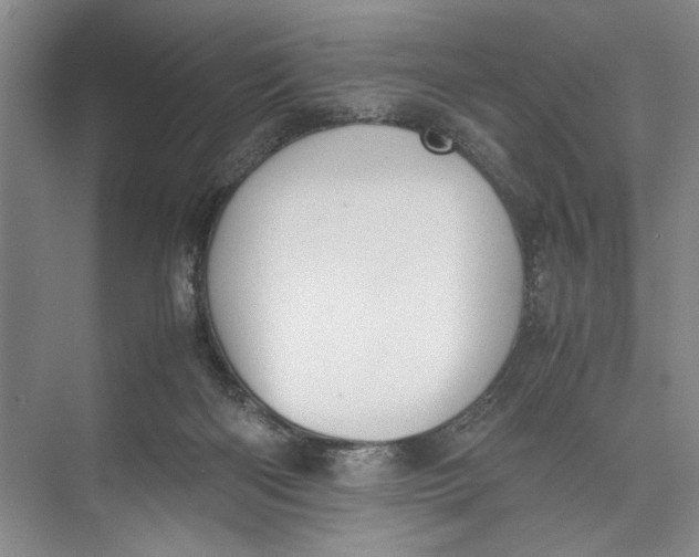 X0000074970122200609221833