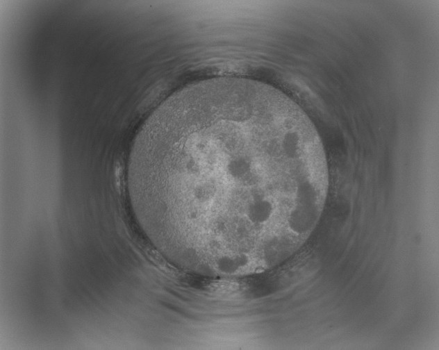 X0000074970123200609221833