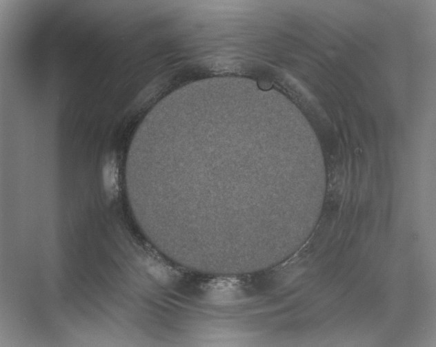 X0000074970124200609221833