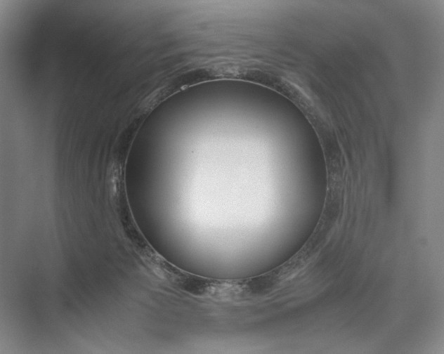 X0000074970125200609221833