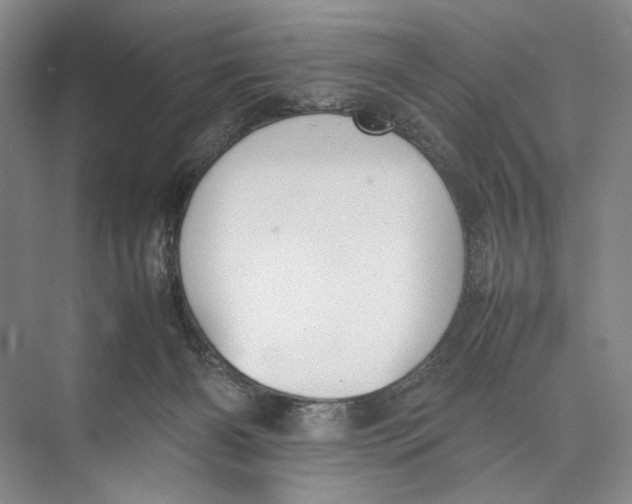 X0000074970126200609221833