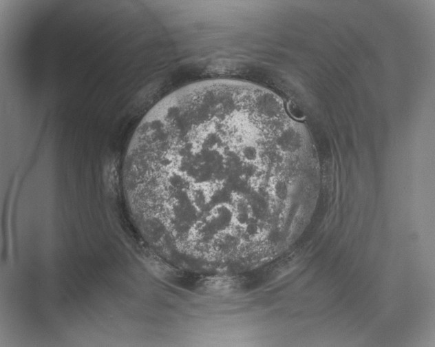 X0000074970127200609221833