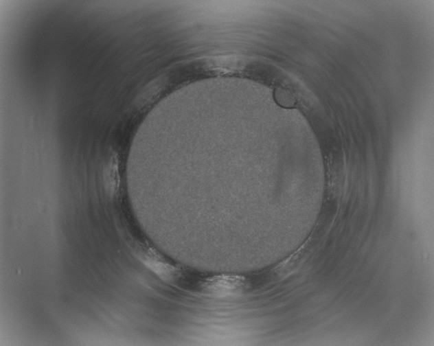 X0000074970128200609221833