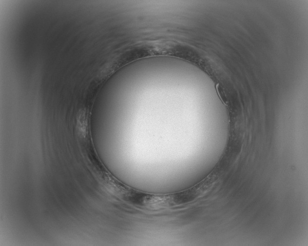 X0000074970129200609221833