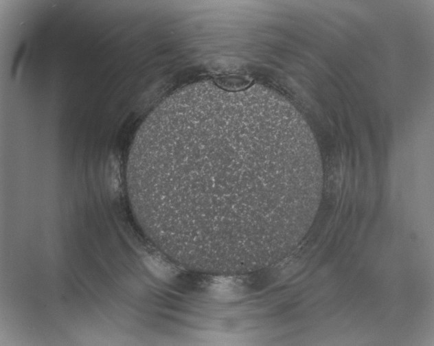 X0000074970130200609221833