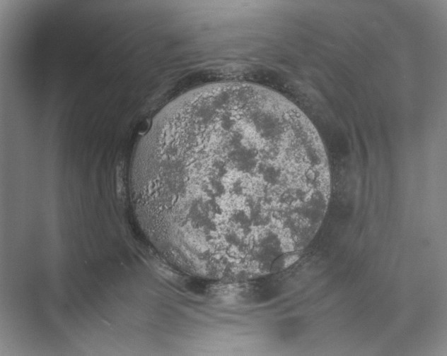 X0000074970131200609221833