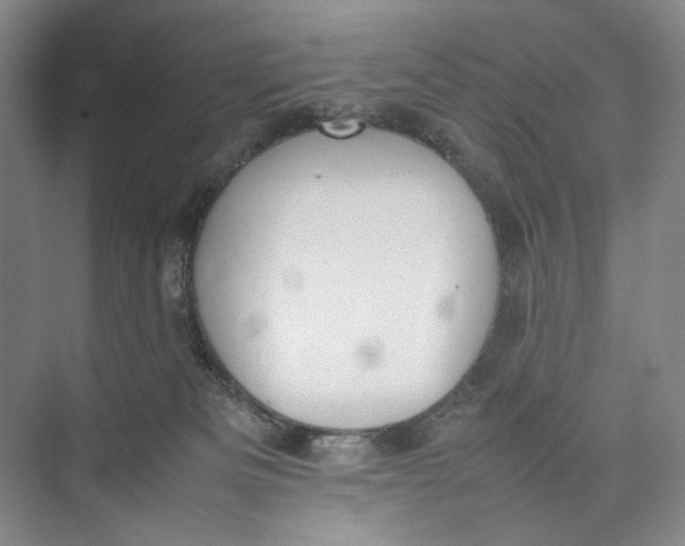 X0000074970133200609221833