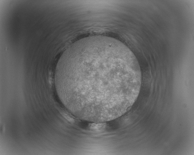 X0000074970135200609221833