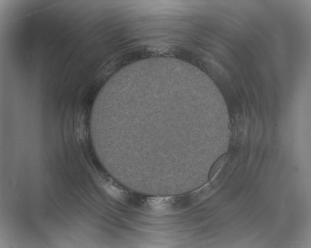 X0000074970136200609221833