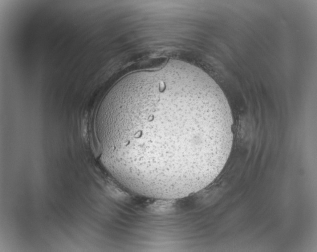 X0000074970138200609221833