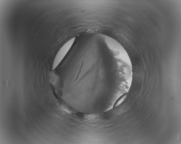 X0000074970139200609221833