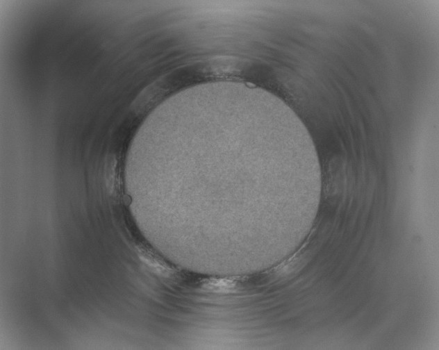 X0000074970140200609221833