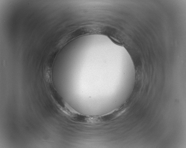 X0000074970141200609221833