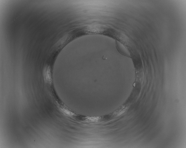 X0000074970143200609221833