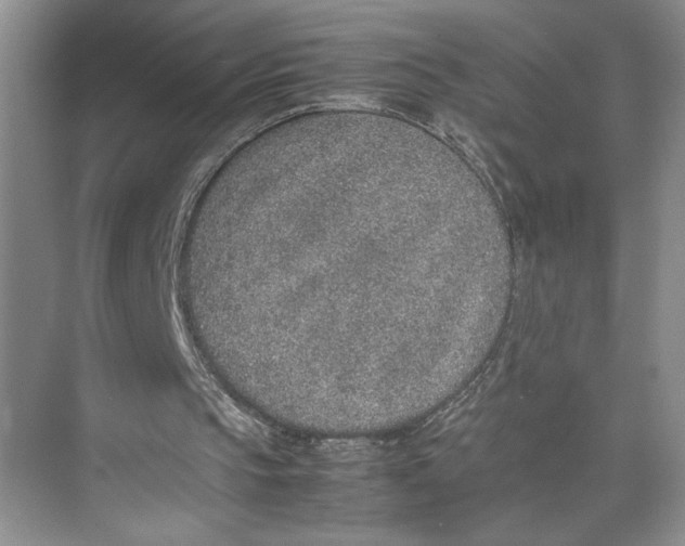 X0000074970145200609221832