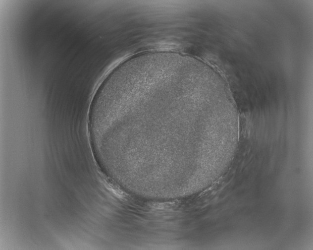 X0000074970147200609221832