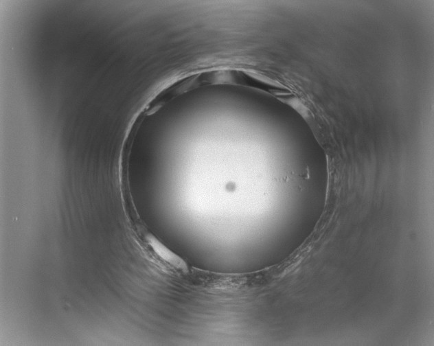 X0000074970148200609221832