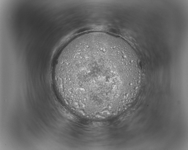 X0000074970149200609221832