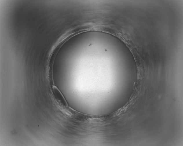 X0000074970150200609221832