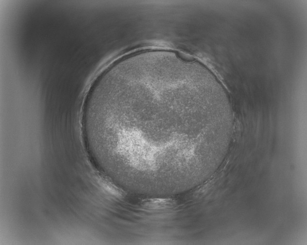 X0000074970151200609221832