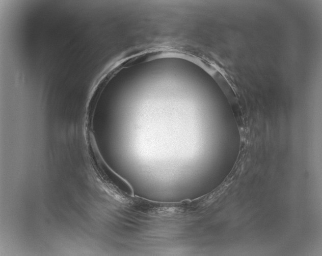 X0000074970152200609221832