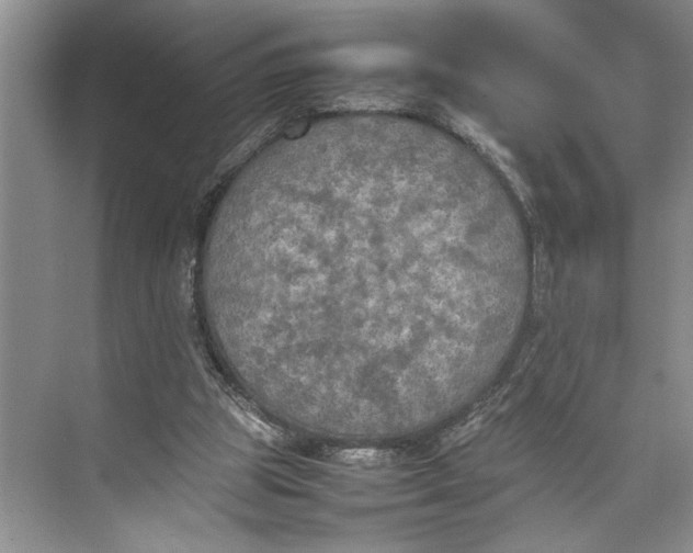 X0000074970153200609221832