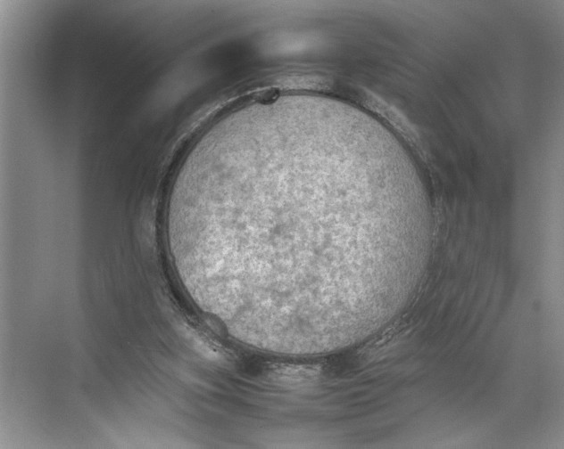 X0000074970155200609221832