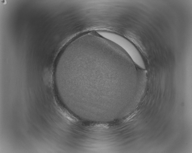 X0000074970156200609221832